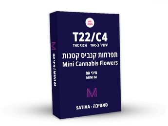 תפרחת מיני אם - T22/C4 - Mini m