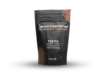 תפרחת בראון סקוט - T22/C4 - Cloud9 Brown Scoot