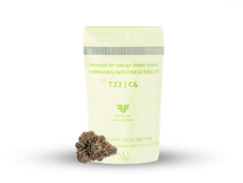 תפרחת גריפין מיני - T22/C4 - Griffiin Mini