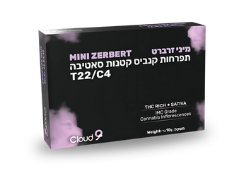 תפרחת זרברט מיני - T22/C4 - Zerbert Mini