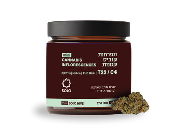 תפרחת סולו הייב מיני - T22/C4 - SOLO Hive Mini