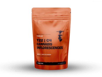 תפרחת טיקי ג'י - T22/C4 - TIKI G