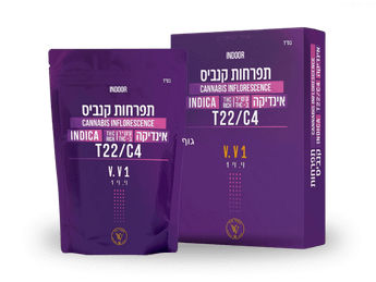 תפרחת וי.וי1 - T22/C4 - V.V1