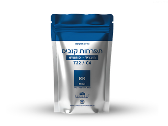 תפרחת אר אר - T22/C4 - RR