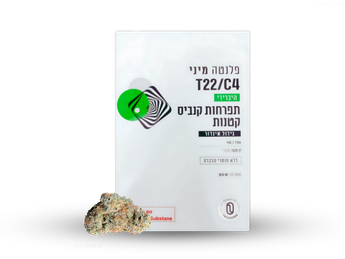 תפרחת פלנטה מיני - T22/C4 - Planta Mini