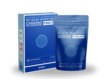 תפרחת אסטרו בלו - T22/C4 - Astro Blue
