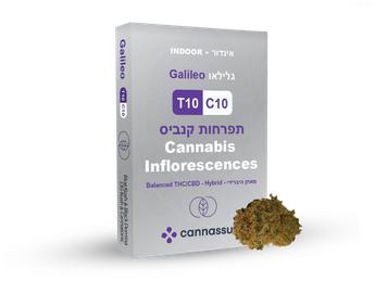 תפרחת גלילאו - T10/C10 - Galileo