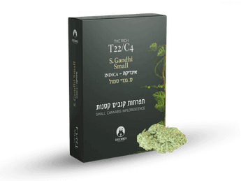 תפרחת ס.גנדי סמול - T22/C4 - S.Gandhi Small