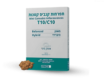 תפרחת אופק מיני -  T10/C10 - Ofek Mini