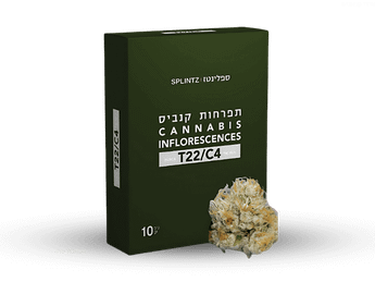 תפרחת ספלינז - T22/C4 - Splinz