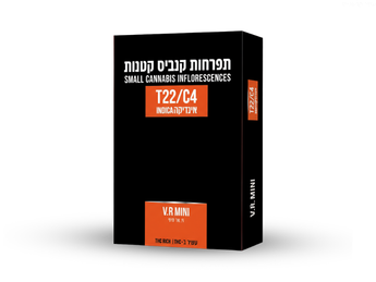 תפרחת וי אר מיניז - T22/C4 - VR Miniz
