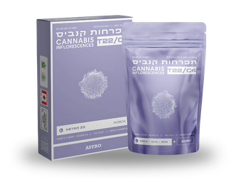 תפרחת אסטרו 33 - T22/C4 - Astro 33