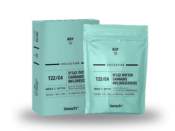 תפרחת קוי - T22/C4 - Koy