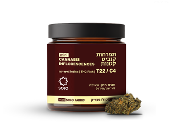 תפרחת סולו פבריק מיני - T22/C4 - Solo Fabric Mini
