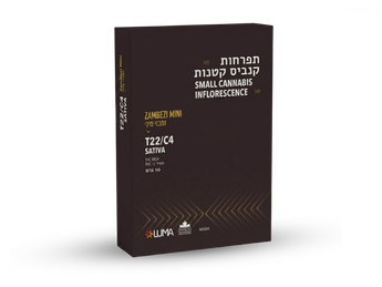 תפרחת זמבזי מיני - T22/C4 - ZAMBEZI MINI