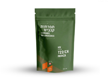 תפרחת אם דבליו - T22/C4 - MW