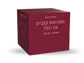 תפרחת אינ פרן - T22/C4 - IN FERN