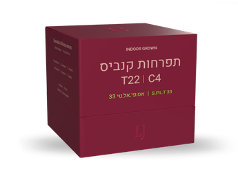 תפרחת אס פי אל טי 33 - T22/C4 - S.P.L.T 33