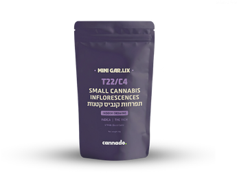 תפרחת גר.ליקס מיני - T22/C4 - Gar.Lix Mini