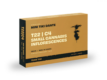 תפרחת טיקי דאנטה מיני - T22/C4 - Tiki Dante Mini
