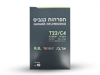 תפרחת אר.בי  - T22/C4 - R.B