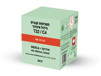 תפרחת אם.אס - T22/C4 - M.S