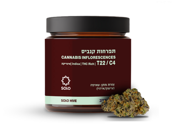 תפרחת סולו הייב - T22/C4 - SOLO Hive