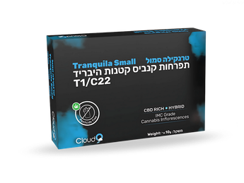תפרחת טרנקילה ס מול - T1/C22 - Tranquila Small
