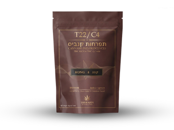 תפרחת קונג 4 - T22/C4 - Kong 4