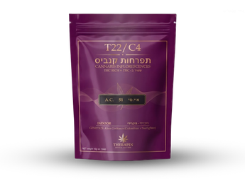 תפרחת איי.סי.51 - T22/C4 - A.C.51
