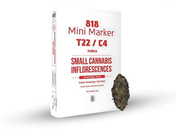 תפרחת 818 מרקר מיני - T22/C4 - 818 Marker Mini