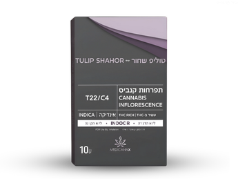 תפרחת בלאק טוליפ - T22/C4 - Black Tulip