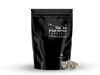 תפרחת צ'ו - T22/C4 - Cho