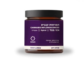 תפרחת סולו לומן - T22/C4 - SOLO Lumen
