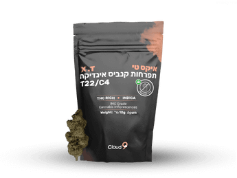 תפרחת אי קס טי - T22/C4 - X.T
