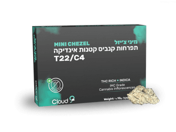 תפרחת צ'יזל מיני - T22/C4 - Chezel Mini