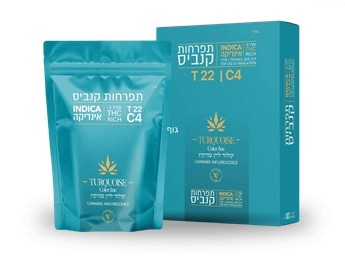 תפרחת קולור ליין טורקיז - T22/C4 - Color Line turquoise