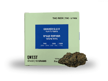 תפרחת גראנדי ג'י.יו.וי - T22/C4 - Grandi G.U.V