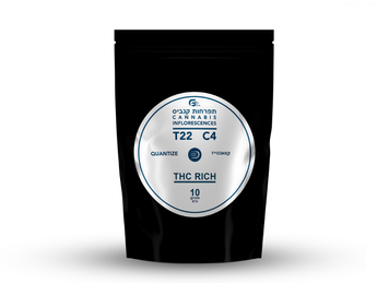 תפרחת קוואנטייז - T22/C4 - Quantize