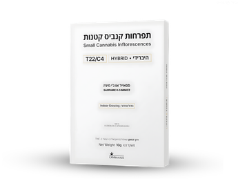 תפרחת ספאייר או ג’י מיניז - T22/C4 - Sapphire OG Minis