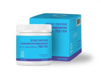תפרחת סולו נאמי - T22/C4 - SOLO NAMI