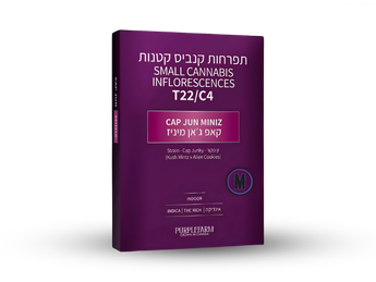 תפרחת קאפ ג'אן מיניז - T22/C4 - Cap Jun Miniz