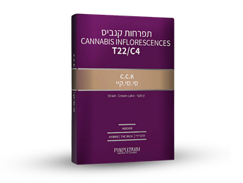 תפרחת סי.סי.קיי - T22/C4 - C.C.K