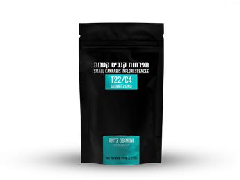 תפרחת ראנטס אוג'י מיני - T22/C4 - Runtz OG Mini