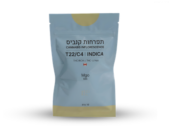 תפרחת מגו - T22/C4 - MGO