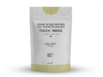 תפרחת מגו מיני - T22/C4 - MGO Mini
