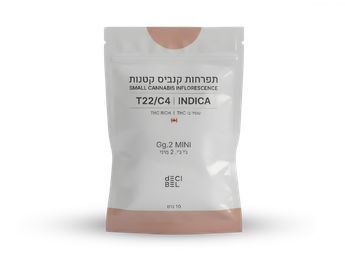 תפרחת ג'י ג'י.2 מיני - T22/C4 - Gg.2 Mini