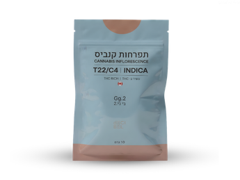 תפרחת ג'י ג'י.2 - T22/C4 - Gg.2