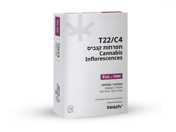 תפרחת אווה - T22/C4 - Eva