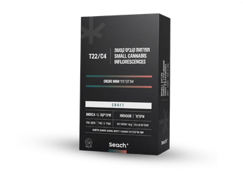 תפרחת אורזקי מיני - T22/C4 - Orzki Mini